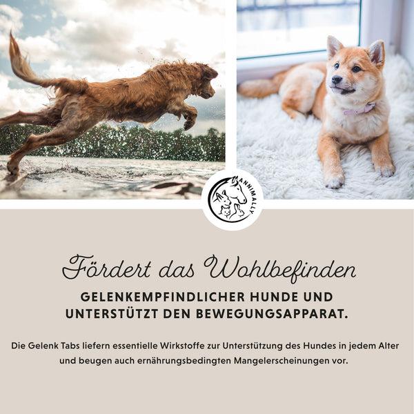 Produktbild Annimally Gelenktabletten (90 g)