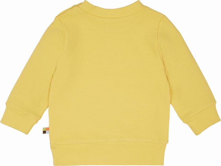 Actual product image loud + proud Sweat rib structure (86)