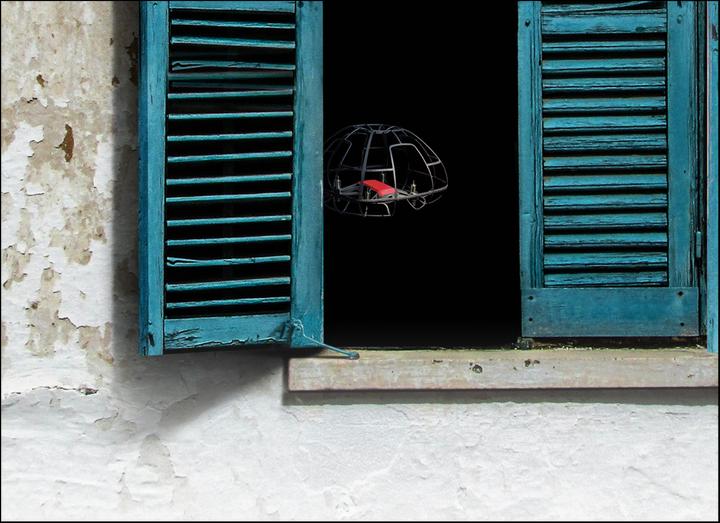 Actual product image Pgytech Propeller protection cage for RYZE Tello (Propeller protection, Ryze Tech Tello)