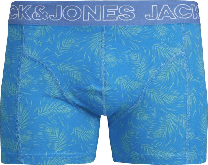 Actual product image Jack & Jones Jaccanvey Trunks 10 Pack (XL, pack of 10)