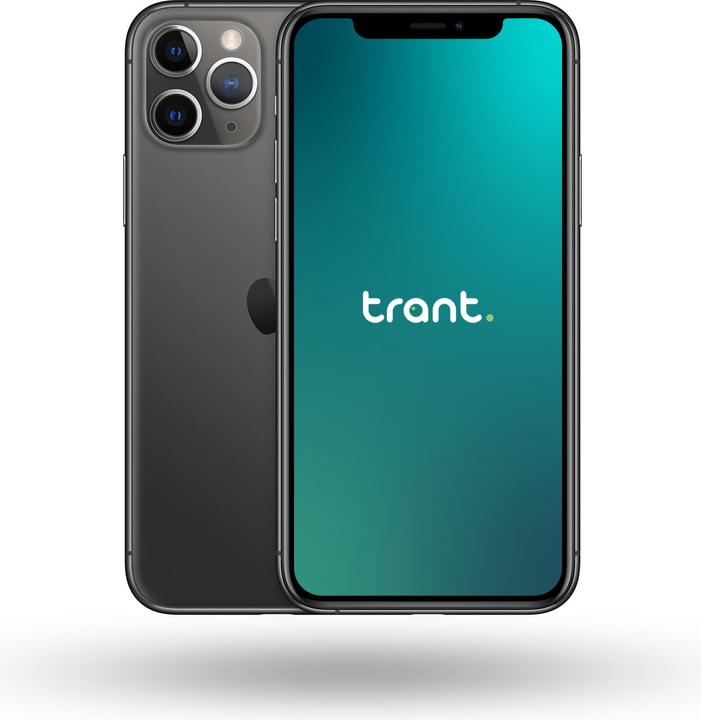 Produktbild Trant.ch iPhone 11 Pro Max (256 GB, Space Gray, 6.50", SIM + eSIM, A / Wie neu)