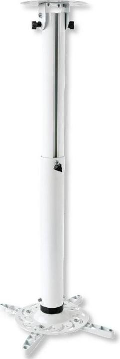 Techly Ceiling mount ICA-PM-104MW (Ceiling)