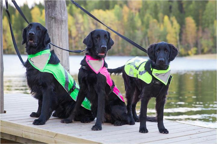 Actual product image Rukka Flap Safety Vest (XS, Dog vest)