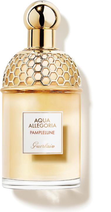 Guerlain Pamplelune