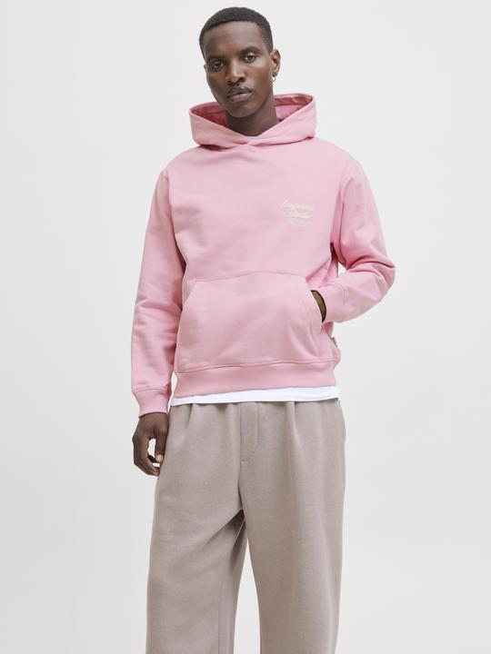 Actual product image Jack & Jones Kapuzenpullover Kapuzenpullover (XS)