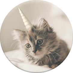 Actual product image PopSockets Unicat