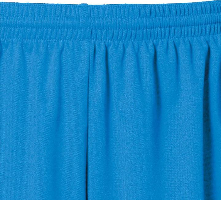 Actual product image Kempa Classic Shorts (M)