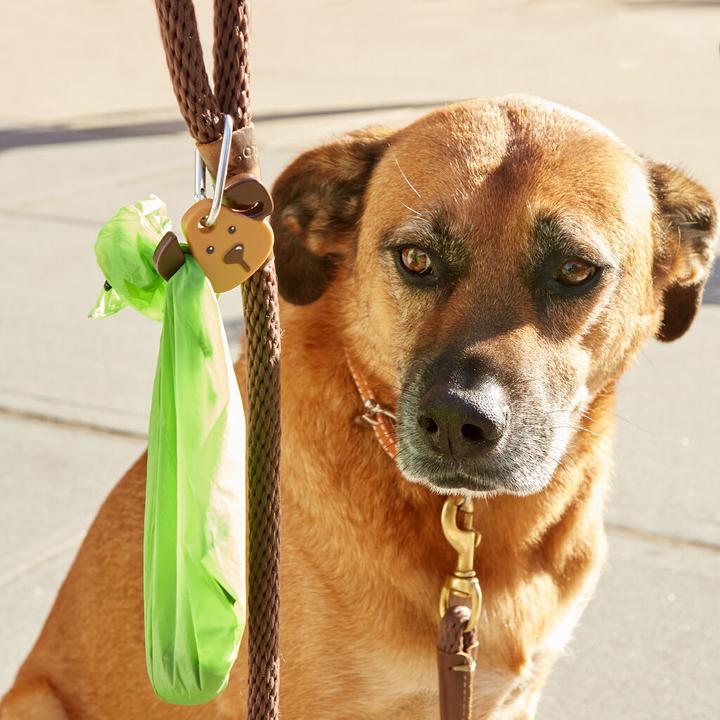 Produktbild Kikkerland Hundelicht (Hund, Allgemein)