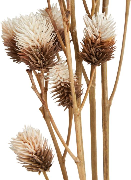 Produktbild micasa Fleur (70 cm)