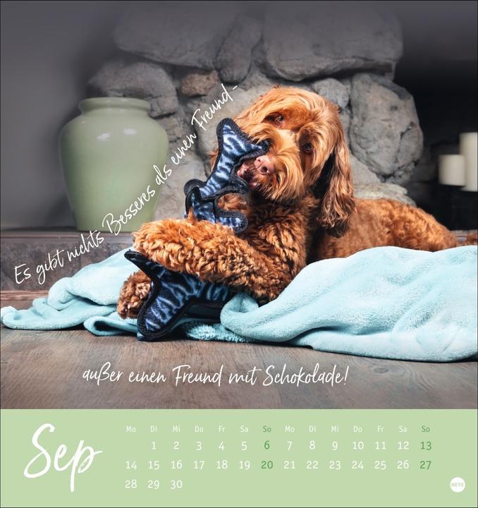 Actual product image Ziemlich beste Freunde Postkartenkalender 2026 - Für immer dein (Hardcover, German)