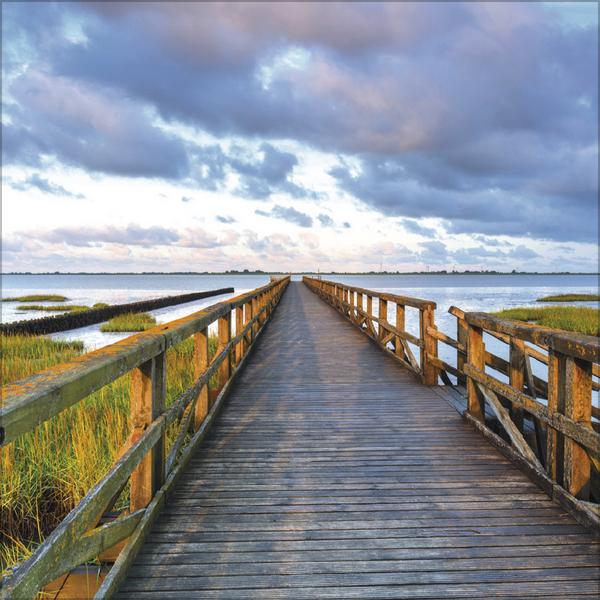 Actual product image Meerblicke - Nord- und Ostsee 2026 (30 x 30 cm, Hardcover, French, English)