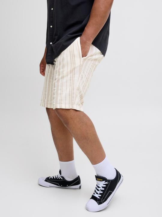 Actual product image Jack & Jones Plus Size Relaxed Fit Relaxed Fit Shorts Relaxed Fit Shorts (46)