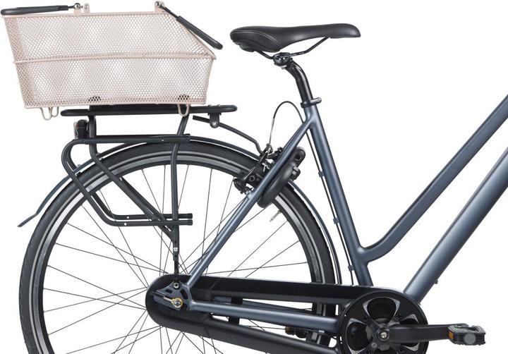 Actual product image Basil Cento (12 l)