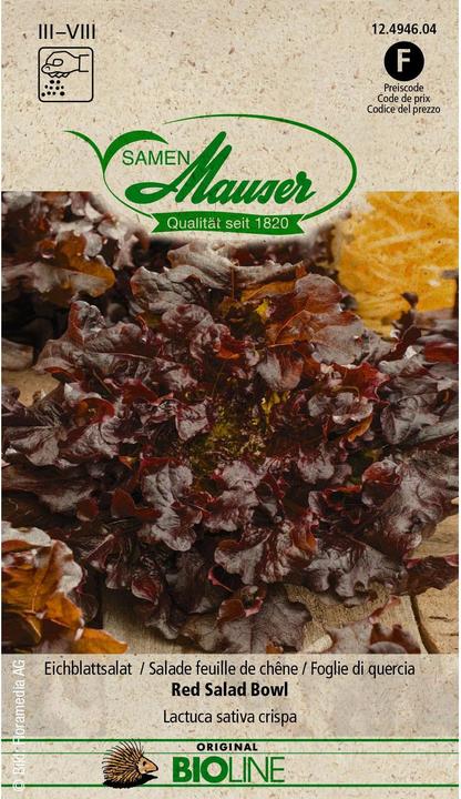 Image du produit Samen Mauser Laitue feuille de chêne BIO Red Salad Bowl (Graines de légumes)