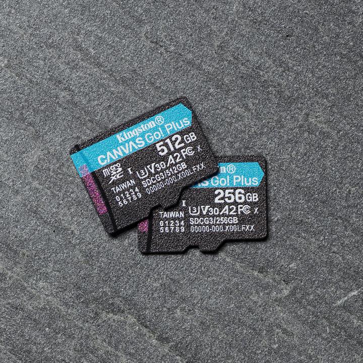 Immagine prodotto Kingston Tela Go Plus (256 GB, microSDXC, U3, UHS-I)