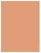 Actual product image Body Shop Coconut Bronze Matte Bronzing Powder (03 Matte Coco Medium, Bronzer, 9 g)