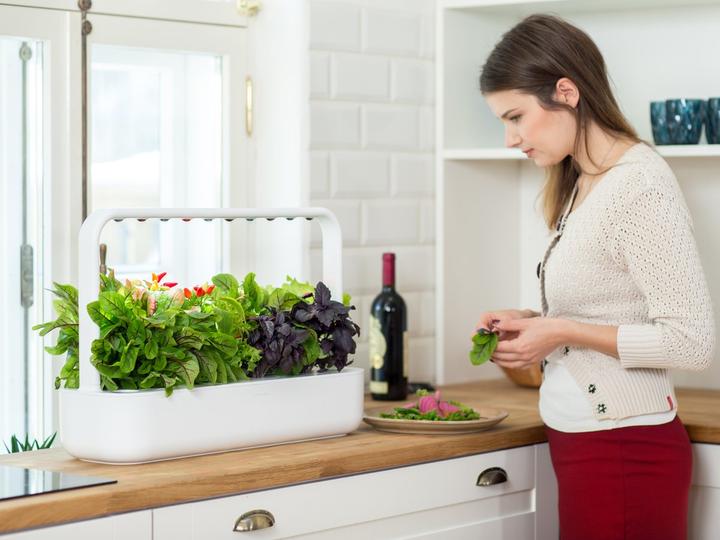 Actual product image Click and Grow Smart Garden 9 (62.50 cm)