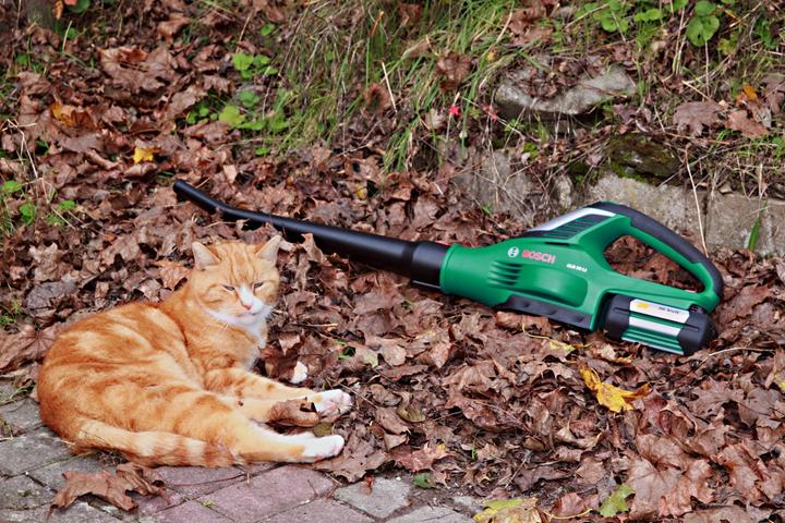 Produktbild Bosch Home & Garden ALB 36 LI (ohne Akku) (Akkubetrieb, Laubsauger)