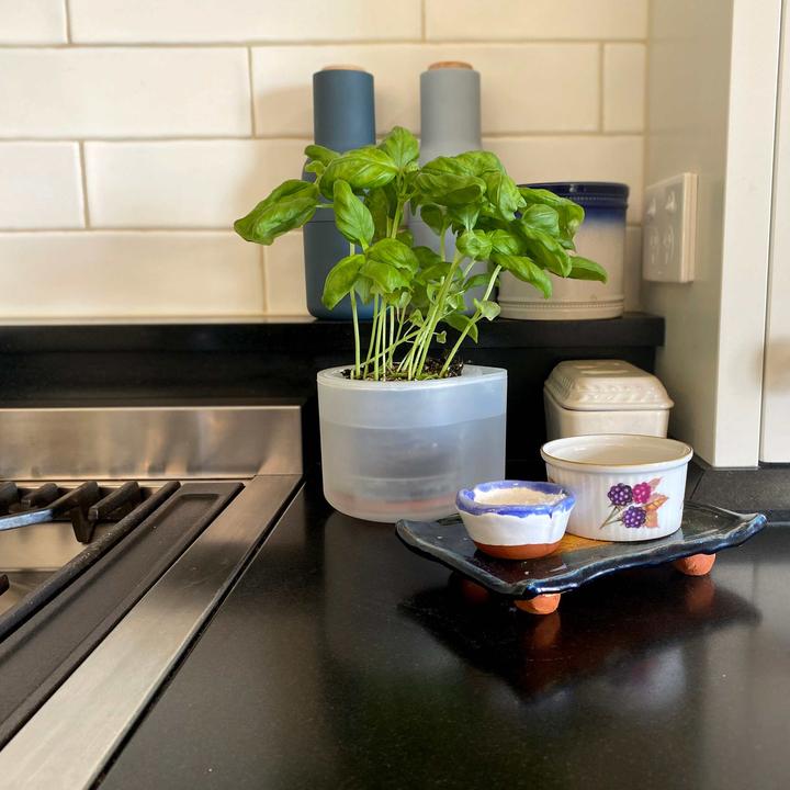 Produktbild boskke Till Planter, Transparenter Planzentopf mit Selbstbewässerung
