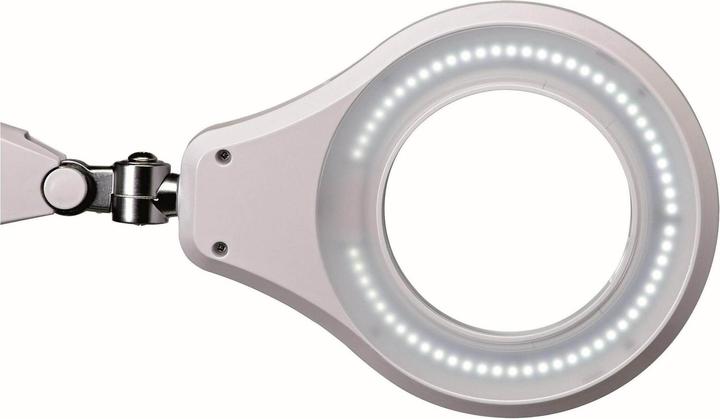 Actual product image Maul NeodymMagnet KarusellHaken Ø 38 (1 x)