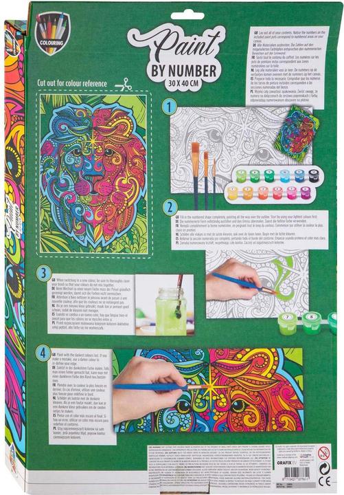 Grafix Painting by Numbers- Lion