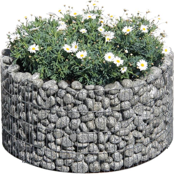 Bellissa Ronde de base