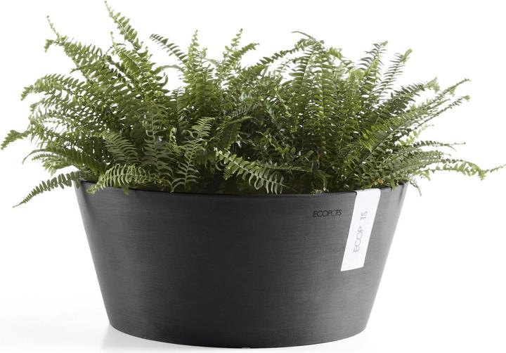 Actual product image Ecopots Frankfurt (50 cm)