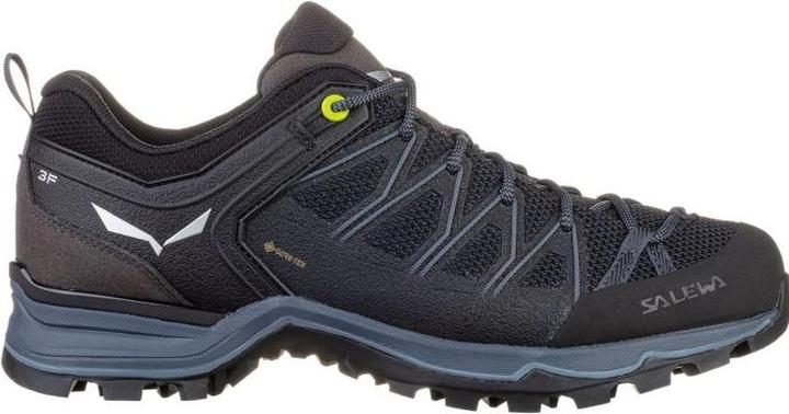 Image du produit Salewa Chaussures MTN Trainer Lite GTX (40)