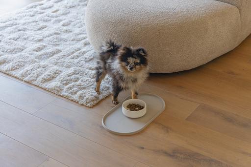 Actual product image Designed by Lotte Lojs dog bowl (0.43 l)