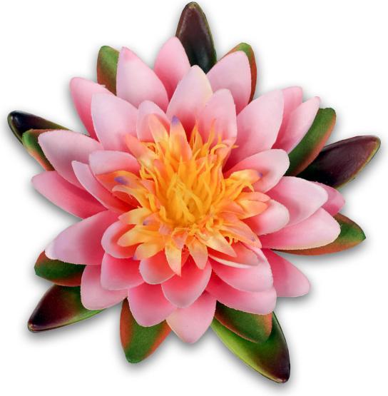 Produktbild Luwatex Seerose