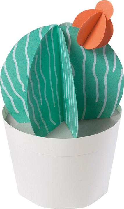 Immagine prodotto Folia SE tampone combinato A4 (130 g/m², 10 x)