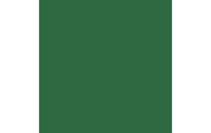 Productafbeelding Amsterdam Acryl 500ml donkergroen (Groen, 500 ml)