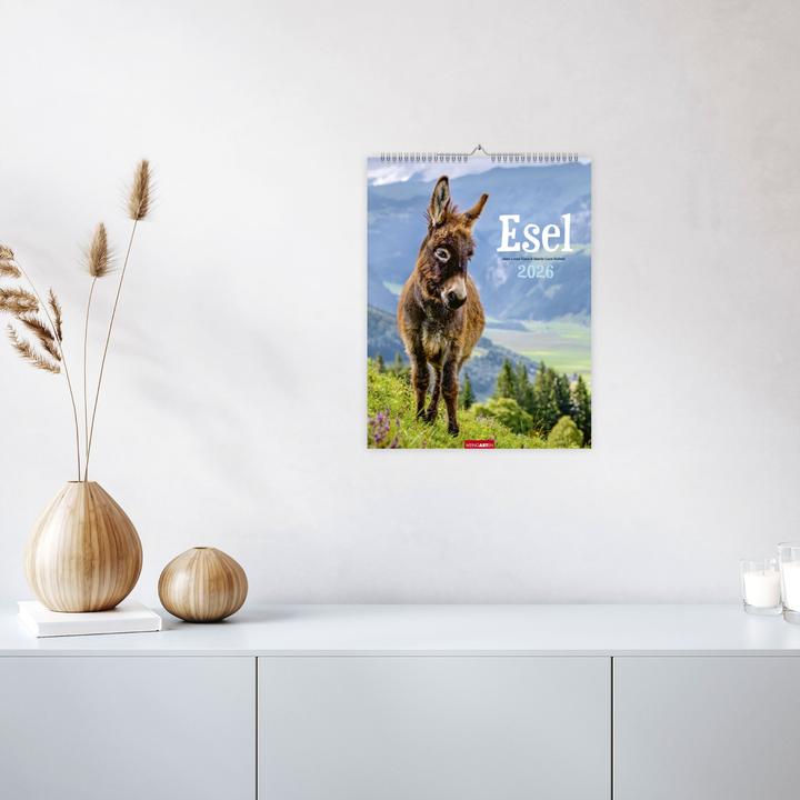Produktbild Esel Kalender 2026 (30 x 39 cm, Deutsch)