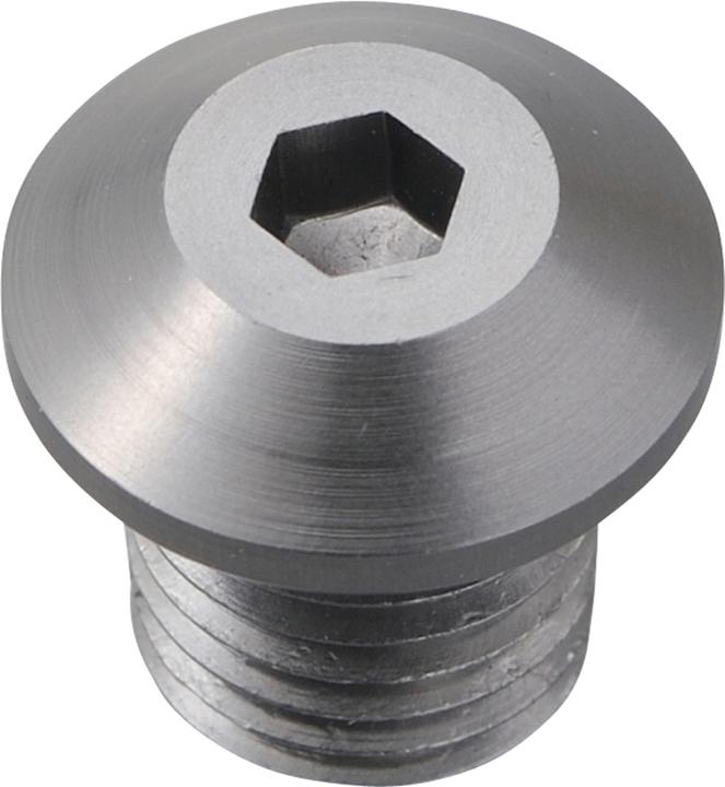 Image du produit Daytona Cache-vis aluminium CNC coloris titane anodisé F. Miroir filetage M10 X P1.25 filetage à gauche
