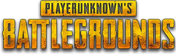Immagine prodotto Sony PlayerUnknown's Battlegrounds (PS4, DE)
