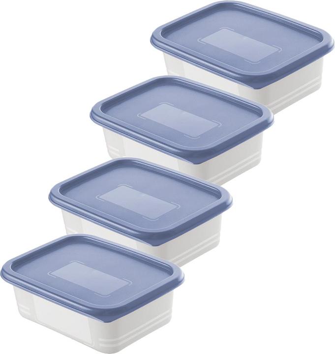 Produktbild Rotho Gefrierdosen Set (0.50 l)