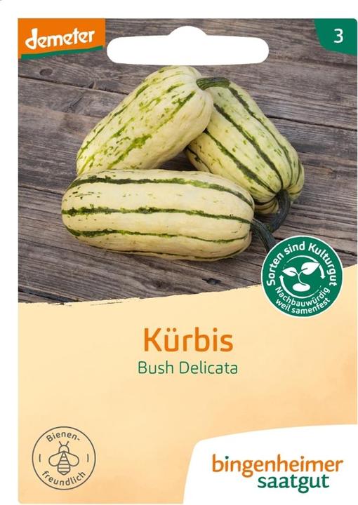 Image du produit Bingenheimer Saatgut Kürbis Bush Delicata (Graines de légumes)