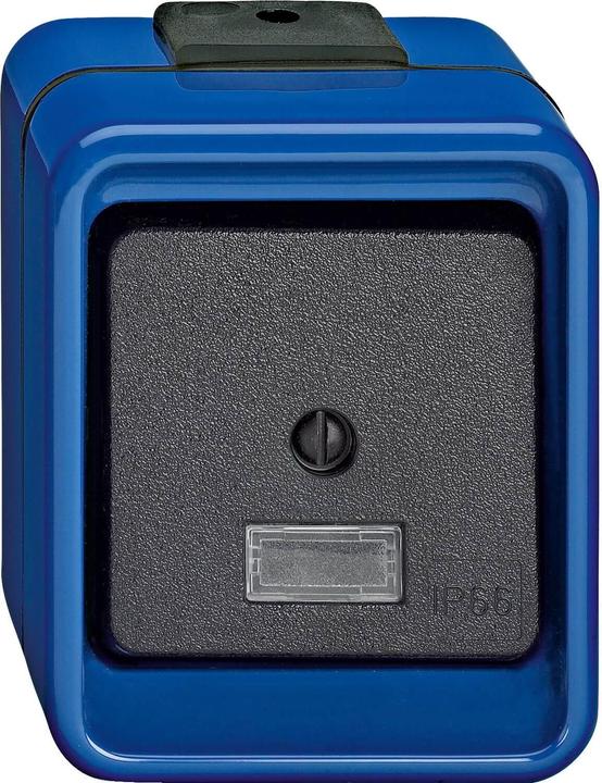 Actual product image Merten Rocker switch, cross, blue, SHOCKPROOF 370775