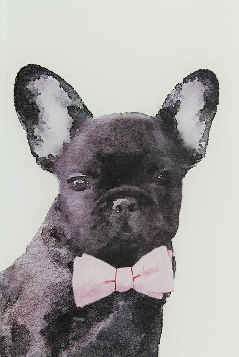 Produktbild Kare Design Bild Glas Fashion Dog 80x60cm (60 x 80 cm)