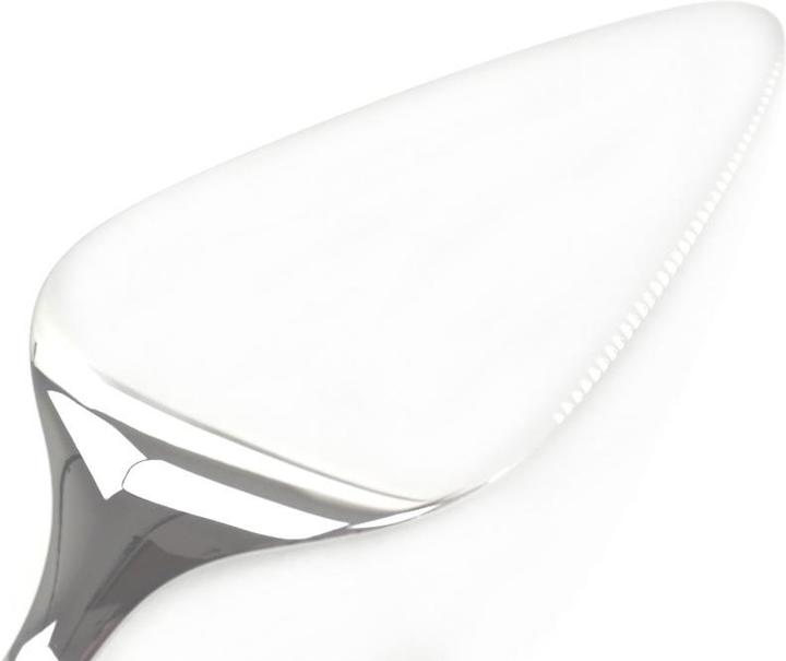 Produktbild WMF Tortenheber Kuchenheber mit Klinge Lasagneheber 21cm Kuchenmesser Edelstahl (Tortenheber)