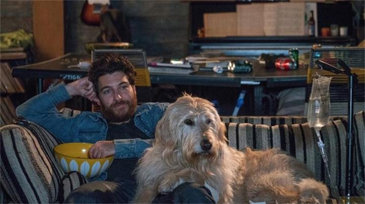 Image du produit Plaion Dog Days - Un coeur, un chien, une fin heureuse! (Blu-ray, 2019, Allemand)
