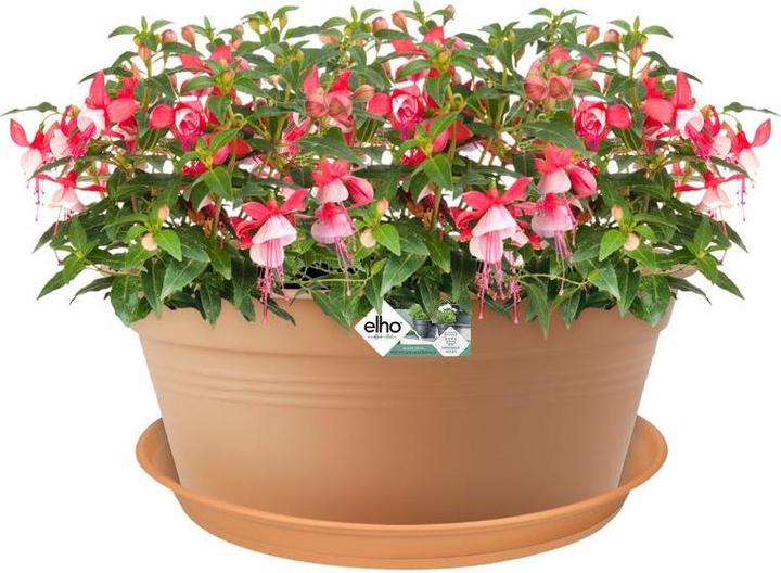 Actual product image Elho Pp