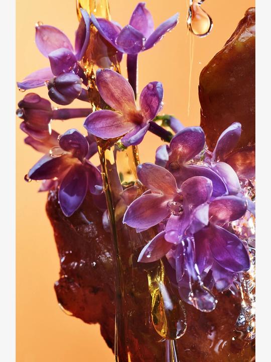 Actual product image Bulgari Allegra Rock'n'Rome (Eau de parfum, 50 ml)