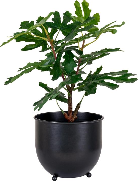 Actual product image House Nordic Fig (60 cm)