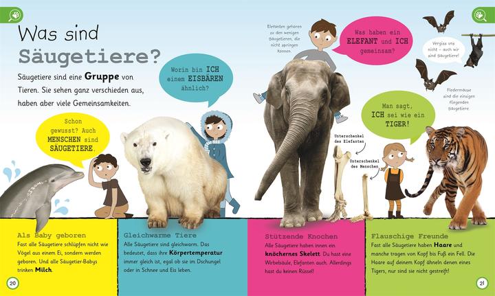 Actual product image Was weisst du über Tiere? (German, Frauke Bahle, Frauke Bahle|DK Verlag - Kids, 2018)