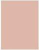 Actual product image L'Oréal Paris Infallible 24H Matte Cover (25 Rose Ivory)