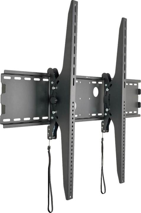 Eaton Tilt Wall Mount for 152.4cm 60inch to 254cm 100inch TVs and Monitors UL Certified (Wall, 100", 158.80 kg)
