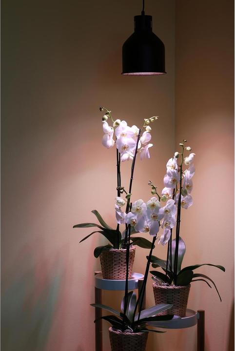 Immagine prodotto Venso Saga (LED, 230 V)