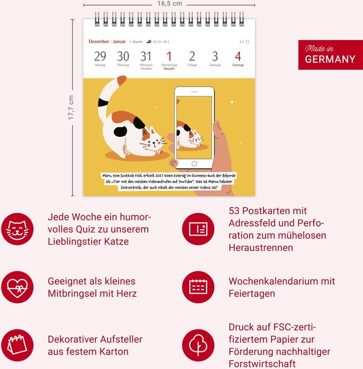 Actual product image Harenberg Unnützes-Wissen-Quiz Katzen Premium-Postkartenkalender - Kalender mit 53 Rätselkarten (German)