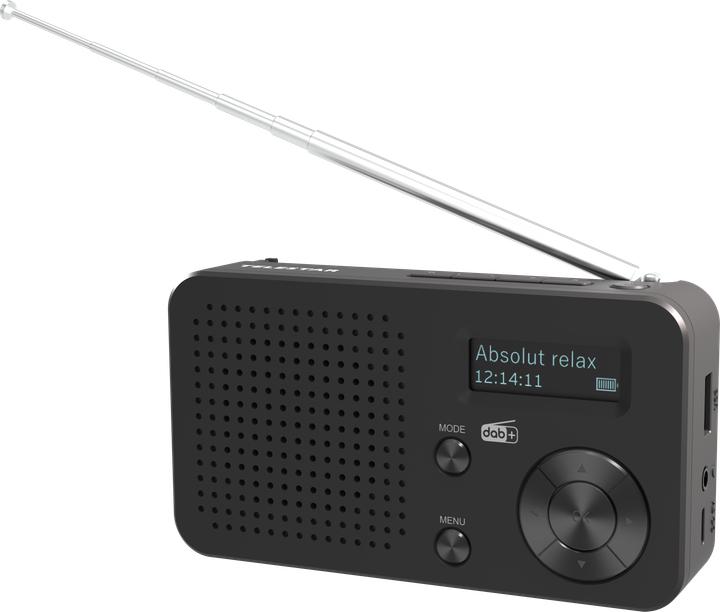 Telestar TOP 100 sw portables Radio DAB+/UKW,Bluetooth,USB,Akku (FM, DAB+ DAB, Bluetooth)